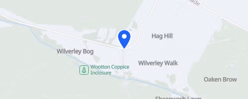 New Forest Trail Run Brockenhurst