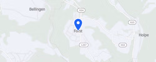Forster Rosen-Pokal-Lauf