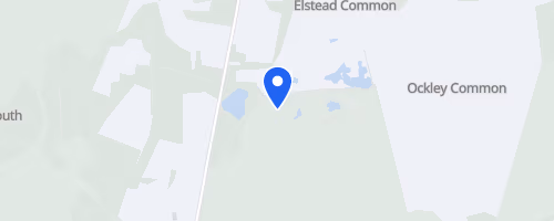 Thursley Common 10km - July