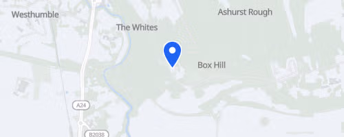 RunThrough Trails Beat Box Hill October