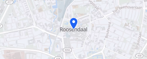 Halve Marathon van Roosendaal