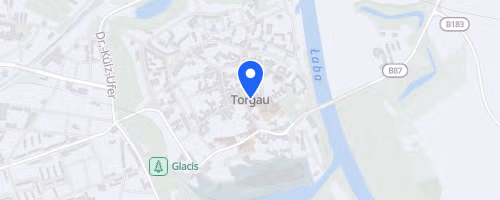 Torgauer Citynachtlauf
