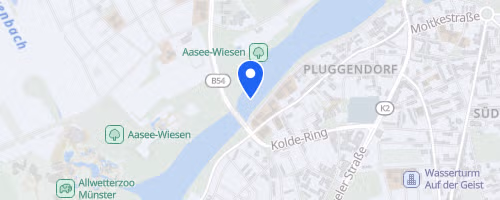 AOK Advents-Aaseelauf