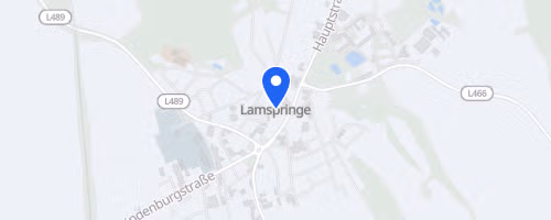 Lamspringer Klosterlauf