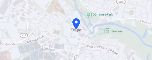 19. Volksbank-Citylauf Telgte