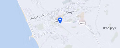 Race The Train Tywyn