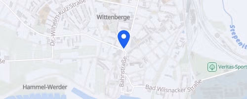 Elbstromschwimmen