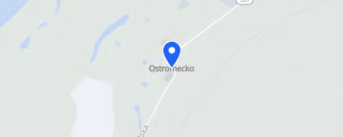 Bieg Uliczny Dąbrowa Chełmińska - Ostromecko