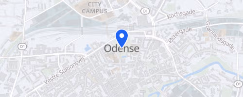 Odense Triatlon 2026