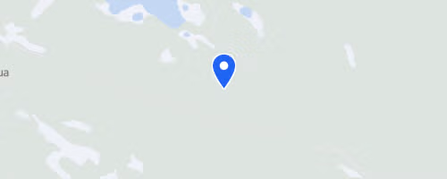 Kongsvegløpet