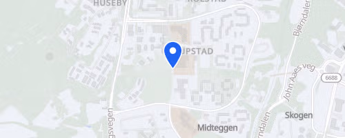 Terrengløp Saupstad