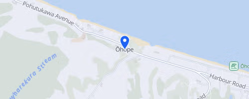 Whakatāne Bush Half Marathon