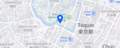 第238回UP RUN皇居マラソン◎計測タグ有◎