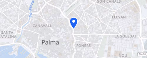 Carrera Ponle Freno-Palma