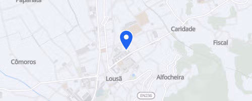 Louzanskyrace®