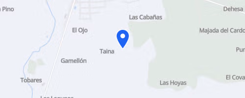 Marcha Solidaria Down Guadalajara