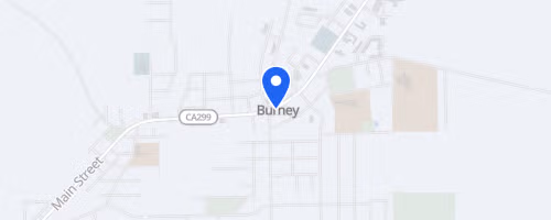 Burney Basin Days