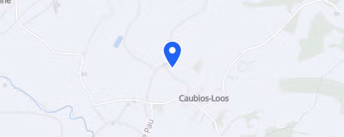 La caubios-loosienne