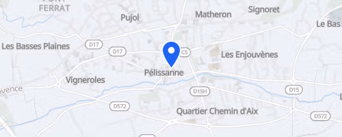 Les foulées pélissannaises - Pélissanne