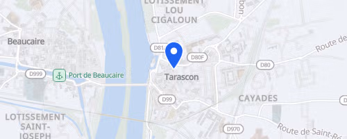 Le mile de la tarasque - Tarascon