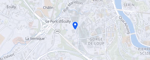 Aquathlon Du Lyon