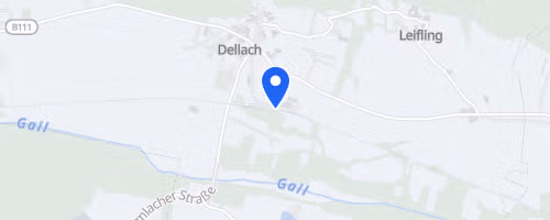 Lauf- und Walking Erlebnis Dellach (Raiffeisen Läufercup)