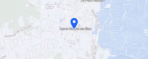 Les galopades de la forêt - Saint-Hilaire-de-Riez