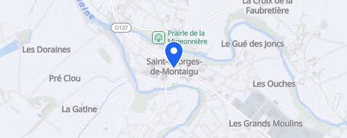 Trail des maines - Montaigu-Vendée