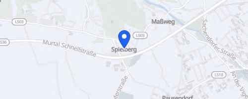 Sparkassen Businesslauf am Red Bull Ring