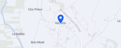 Les Foulées du Saumur-Champigny