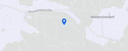 32. FT Jahn Nikolauslauf