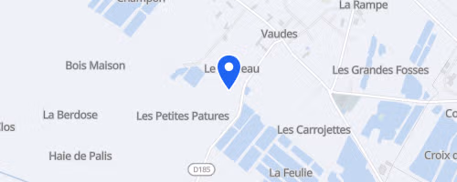 Les foulées de Vaudes