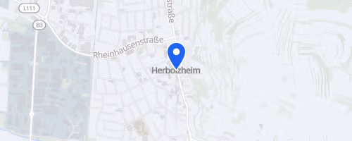 18. Gänslauf Herbolzheim