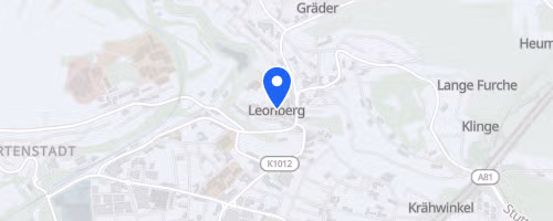 16. Citylauf Leonberg