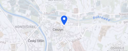 Cieszynski Fortuna Bieg Cieszyn