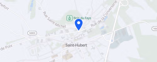 Le Trail des Cerfs - Saint-Hubert