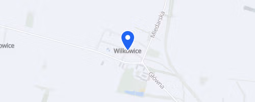 Bieg o Złotą Szyszkę