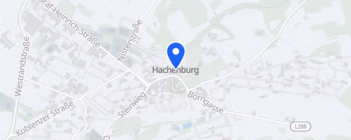 40. Hachenburger Löwenlauf