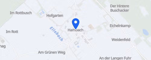 67. Hambacher Herbstwaldlauf