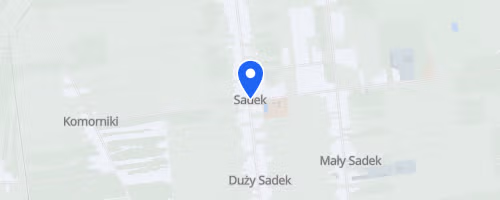 Ogólnopolski Bieg Uliczny Sadek - Sadek