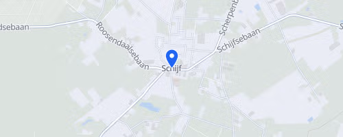 Turfloop Schijf