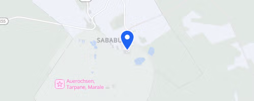 16. Sababurger Tierparklauf