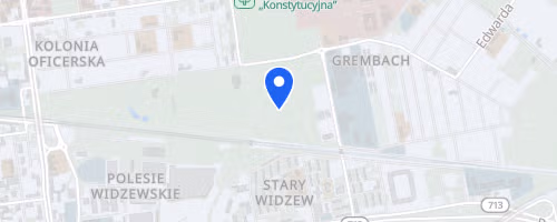 Pędzące Renifery