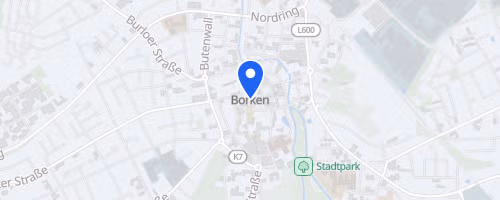 40. Borkener Citylauf