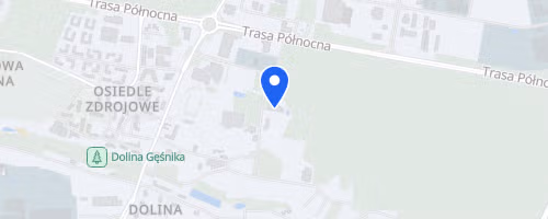 5 Bieg Zielona Góra Tętni Dobrem