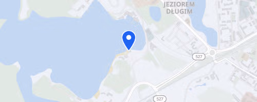Charytatywny Bieg o Złotą Monetę