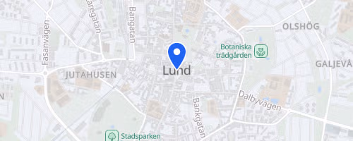 Lejonbragden