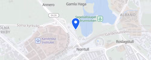 Dadathlon Run and Festival (Stockholm, Hagaparken)