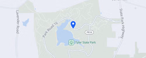 Dead Night Pines Trail Run