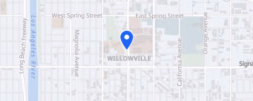 Wrigley River Run & Tadpole Trot